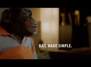 Bail Made Simple