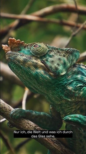 Reise. Entdecke. Zoome. | TAMRON 18-300mm jetzt auch für Nikon Z & CANON RF