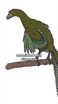 Archaeopteryx: Ancient Wing | Prehistory 101