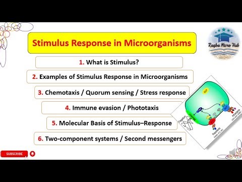 Stimulus Response in Microorganisms #stimulus #response #microbiology #trending #raqbamicrohub