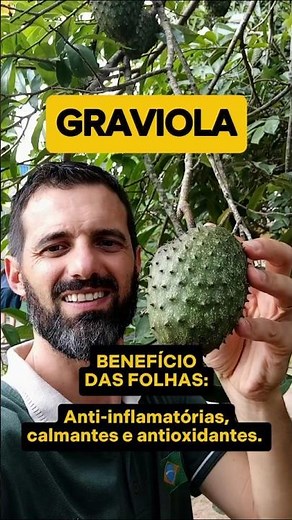 BENEFÍCIOS FOLHA DE GRAVIOLA