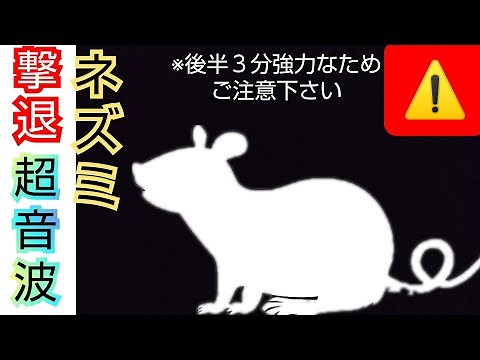 【ネズミ･撃退･超音波】ねずみ用のモスキート音┃駆除、罠、鼠、音、BGM･ASMR┃モスキート、アプリ、対策、ネズミが嫌がる音┃退治、ネズミ駆除、rat extermination、rats