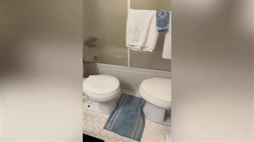 Two-toilet bathroom will make you do a double take