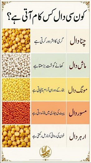 Which Lentil Is Best for What? 🫘 Health Benefits of Every Dal | Healthy Eating Tips