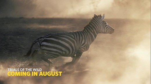 NAT GEO WILD TRIALS OF THE WILD promo