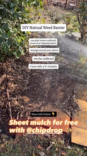 ChipDrop on Instagram: "Get great soil for a spring garden, control weeds, and add nutrients with free wood chip mulch from @chipdrop Tip: Avoid the spring rush—Order a WINTER ChipDrop delivery!! #sheetmulching #wintergarden #chipdrop #freewoodchips"