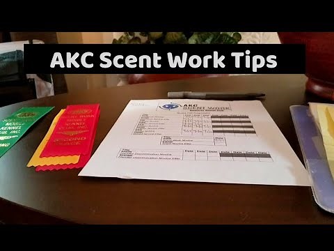 Tips for First AKC Scent Work Trial