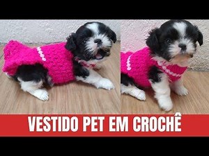 Olá, hoje eu trago pra você uma roupinha muito fofa, para a nossa cachorrinha, compartilhe e sigo nossa pagina. vamos aprender? | Crochê Minha Paixão | Facebook