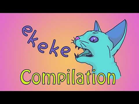 Cats Ekekekeke Compilation - Cats chattering at birds!