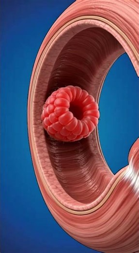 Why Raspberries Taste So Bright | Berry Flavour Explained