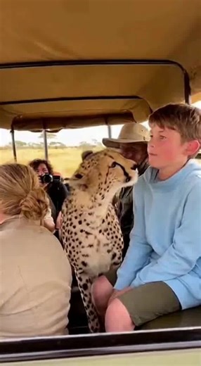 When wildlife surprises you in the softest way 🥺🐆