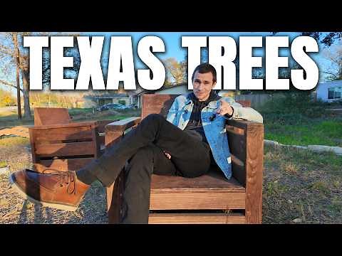 9 Texas Native Trees You’ll Almost Never Find at a Nursery