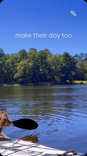 Furry friends welcome! At Deer Lake Cabins Ranch Resort, we know adventures are better with your four-legged sidekick by your side. Whether it’s paddle boarding, hiking, the trails, or just soaking up the sun by the lake, your pup is part of the fun. So pack their leash, grab some treats, and get ready for a pawsome get away! 🐾 #nopetleftbehind #dogfriendly #dogfriendlyresort #texasgetaway #petfriendlyresort #sup #dogsup #peaceful #deerlakecabins #easttexas #cabinrentals #horsebackriding #fishi
