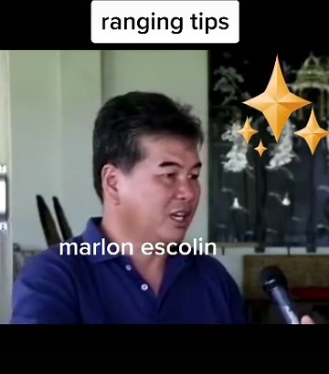 Shop til morning (@rooster_buddy)’s videos with original sound - chicken_buddy - Shop til morning