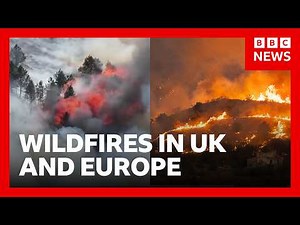Wildfires in the UK and Europe as heatwaves continue | BBC News