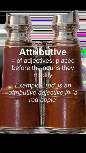 Word of the Day: Attributive #Shorts
