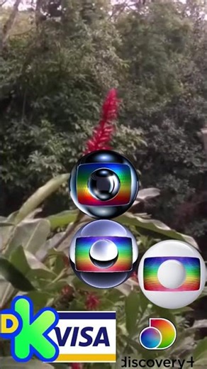 rede Globo #tpot #bfdi #animation #bfb #funny #cartoon #series #flamengoxceara #sbt