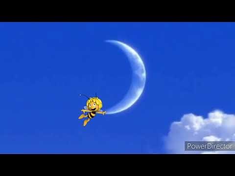 DreamWorks Animation SKG Logo (Maya The Bee Variant)