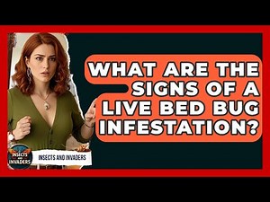 What Are The Signs Of A Live Bed Bug Infestation? - Insects and Invaders