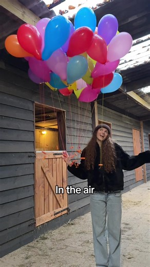 24 Carrots in the Air: A Humorous Take