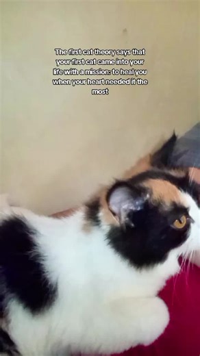 lyrx (@lyrx.1)’s videos with som original - 🐿