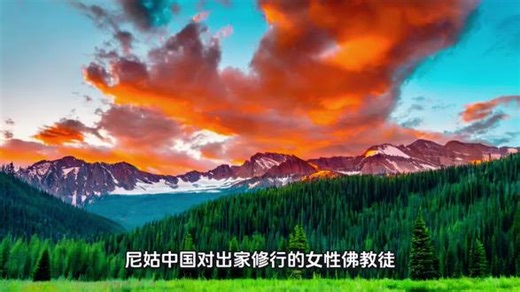 说完“僧”、“和尚”，今天聊聊“尼姑”——一个更沉重的词。#尼姑 #比丘尼 #女性与宗教 #佛教文化 #冷历史