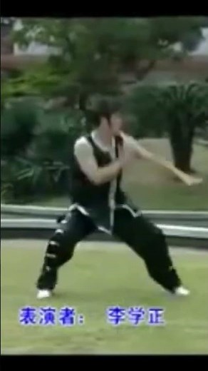 Arhat 18 Hand. Southern Shaolin Kungfu