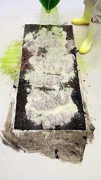 😮 Unbelievable Carpet Cleaning Transformation