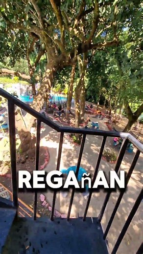 “¿Tú te tirarías por aquí? 😳👇”