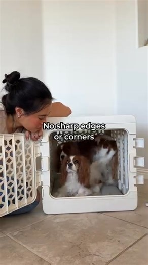 Meet the dog crate that finally matches your home. 🌟 PAWD® Modern Collapsible Dog Crate — stylish, lightweight, and folds flat in seconds. Perfect for small spaces, travel, or creating a cozy spot your pup will love. Beautiful design. Stress-free setup. Comfort built in. 💛 Upgrade your pet’s space today! | QVC depot