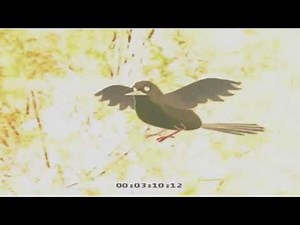 Mr Snail Lost Shell In Fixed Negative