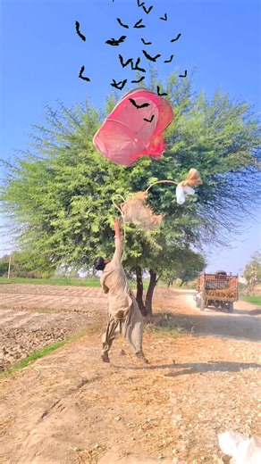 Hunting for Bats: Insights and Fun Moments