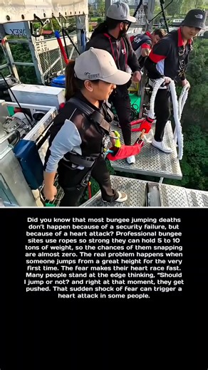 172K views · 115 reactions | Why People Really Die in Bungee Jumping #ViralFacts #ShockingTruths #DidYouKnow #ScienceFacts | Fact XYZ | Facebook