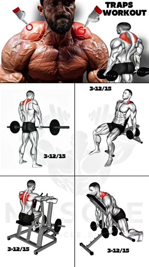 9 Best Tricep Exercises By Equipment#tricepsexercise #triceps