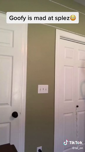 Goofy Confronts Splez in Drama-Filled Encounter