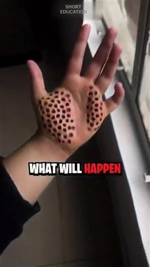 Do NOT Touch This at the Beach🦀 #shorts