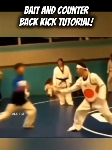 Bait and Counter Back Kick Tutorial . #martialarts #taekwondo | taekwondo