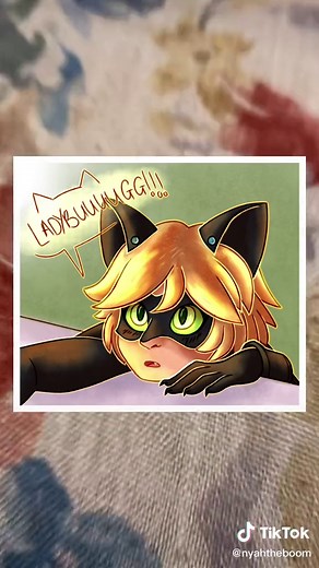 #catnoir #miraculousladybug #miraculous #foryou #foryoupage #ladybugcatnoir