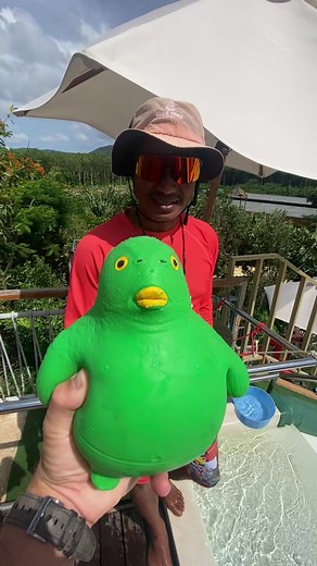 Me & My Crazy Fishy บน TikTok