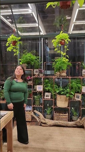 Inside Our Dusk Blue Cape Cod Greenhouse | Northwest Flower & Garden Show Display Tour