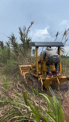 Operating a Mechanical Grader in Rural Agriculture