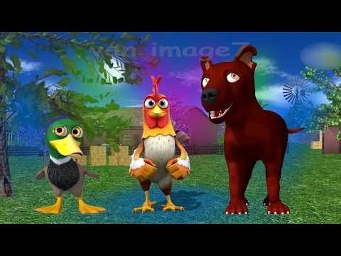 El Gallo Bartolito Bailando En La Granja De Zenón Con El Pato Leo y El Perro