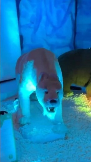 Los animales de la era de hielo 🧊 #eradehielo #museo #dinosaurios #parquefundidora