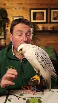 Episode 55 of Bird of the Week!