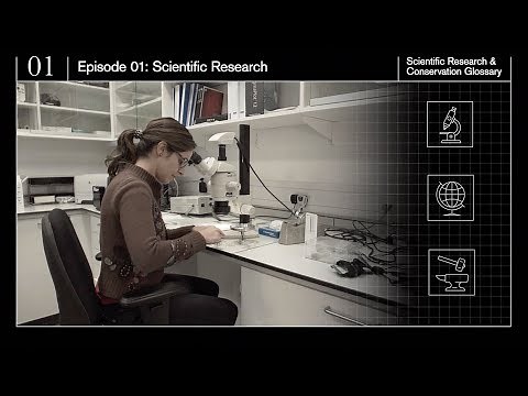 Scientific research glossary of terms