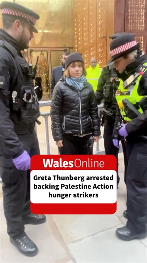 Climate activist Greta Thunberg has been arrested at a demonstration in central London. A video shared by the Prisoners for Palestine protest group showed the 22-year-old holding a sign reading "I support the Palestine Action prisoners. I oppose genocide" at offices of Aspen Insurance. The group says the company has been targeted because it provides services to the Israeli-linked defence firm Elbit Systems. Red paint was sprayed over the front of the building by two activists before police arriv