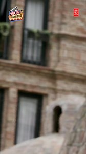 412K views · 1.6K reactions | Play #SuitSuit and vibes turned up! #1minmusic #TSeries | T-Series | Facebook