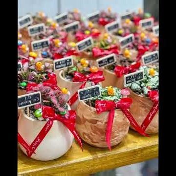 Nhà đẹp cùng Nhiên – Cây Xanh Quà Tặng 🌿Chuyên set up góc nhỏ & cung cấp cây xanh decor, quà tặng