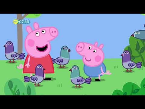 Peppa Pig S06E22 Bird Spotting