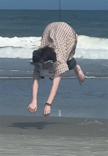 Out of everything we saw on the beach today this was the top and the first for all of us! #jaxfl #furry #wholetthedogsout #florida #whatintheworld